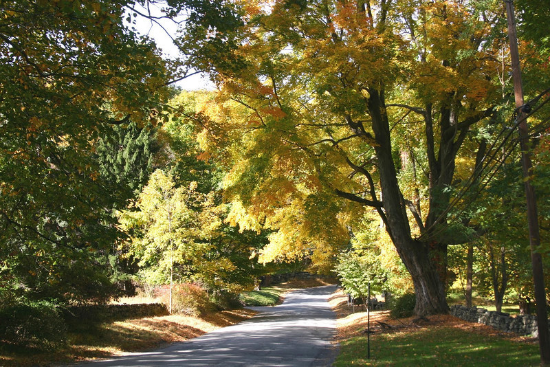 Mead Street, 2004.jpg