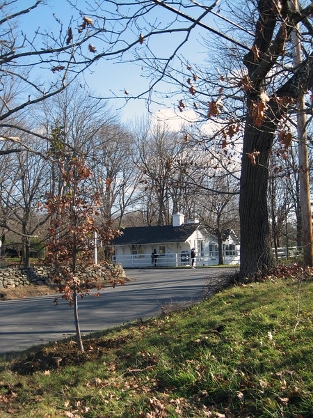 Post Office and newly planted tree, 2010.jpg