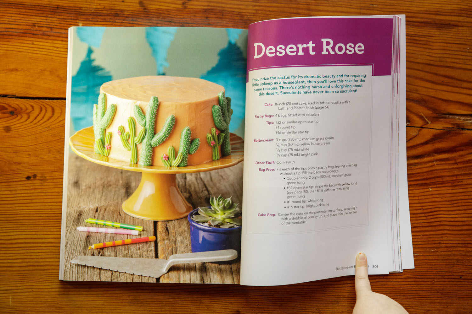 We did a lot of really simple propping that gave the cakes a life of their own. Thanks to Don my assistant for running out and getting the succulent for this shot. As you can imagine we did a ton of shopping for props. A bunch of stuff didn't make it in.