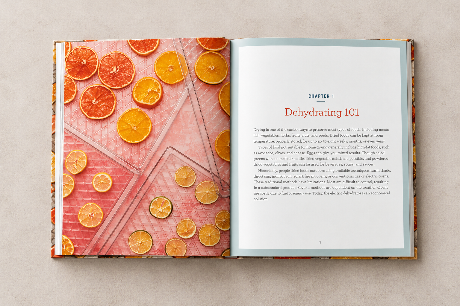 Dehydrating 101 Cookbook Spread-1.png