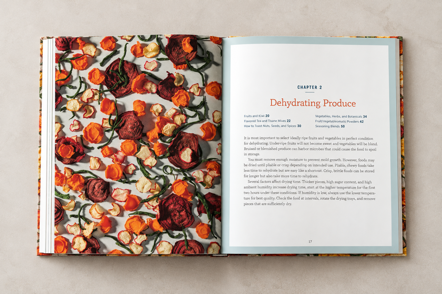 Dehydrating Produce Cookbook Spread.png