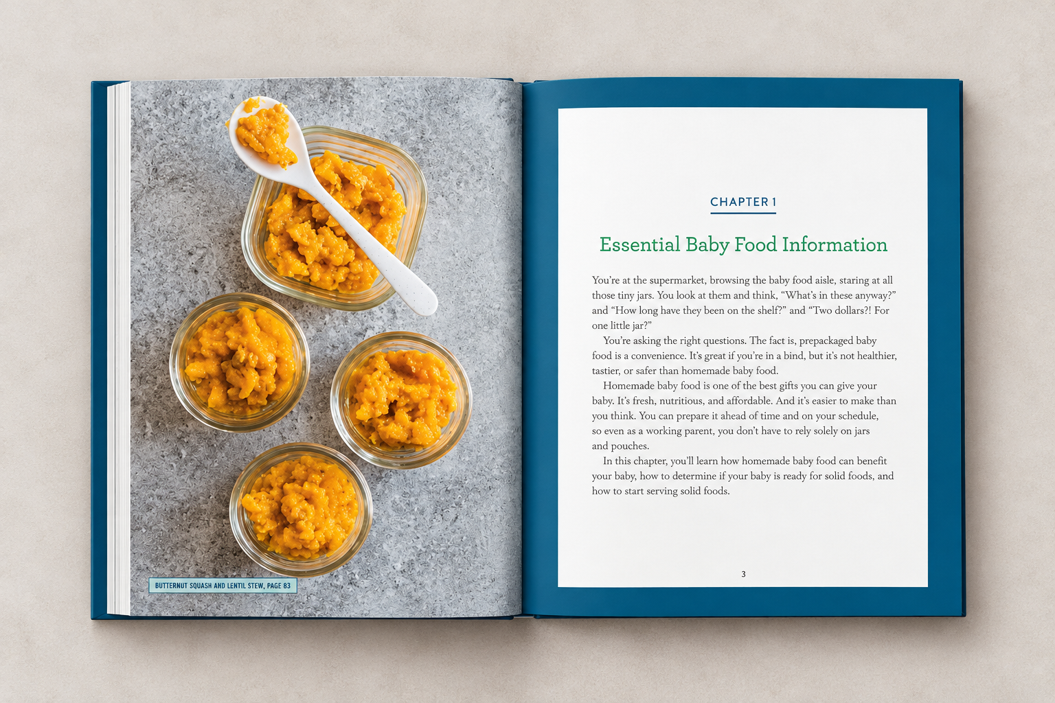 Baby Food Cookbook Chapter Spread.png
