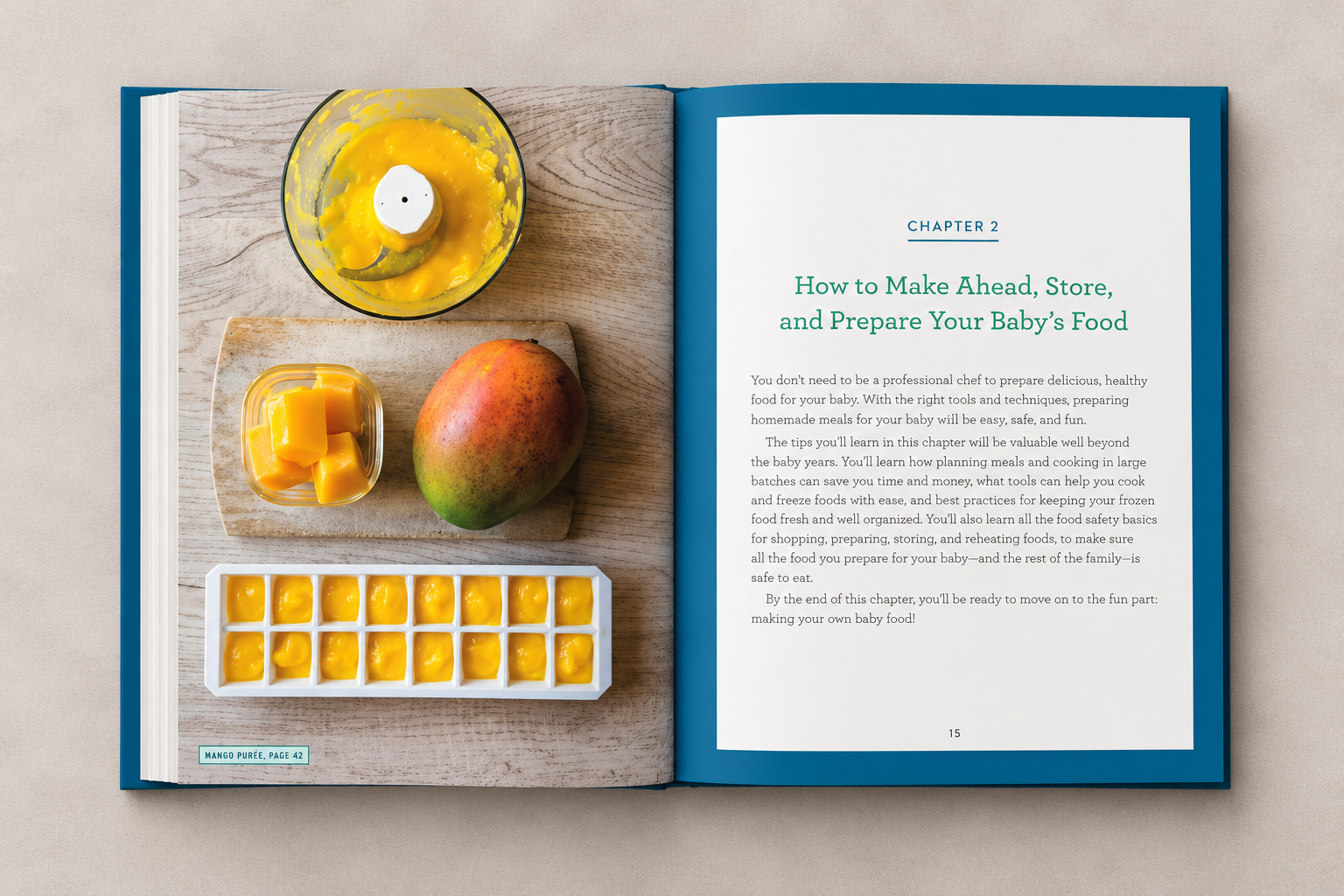 Mango Purée Cookbook Chapter Spread.png