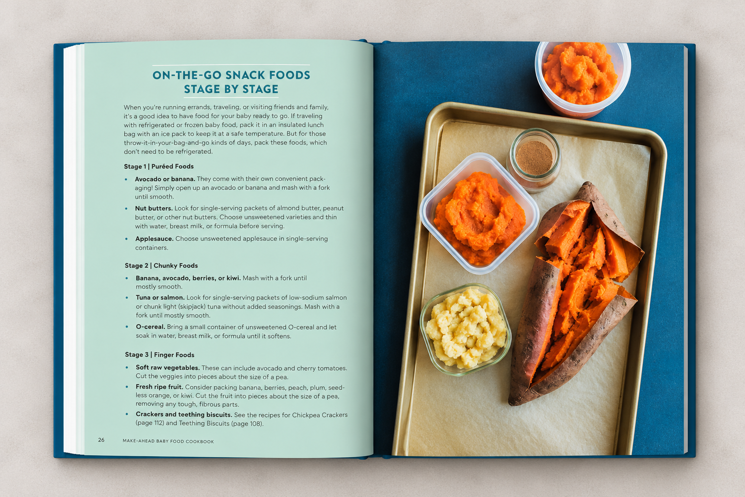 On-the-Go Baby Food Cookbook Spread.png
