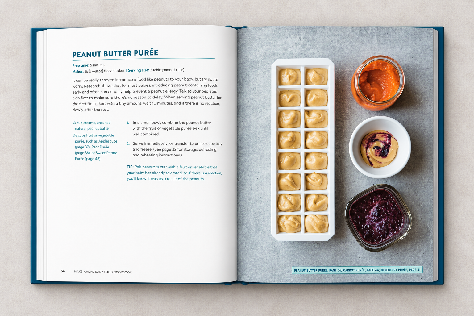 Peanut Butter Purée Cookbook Spread.png