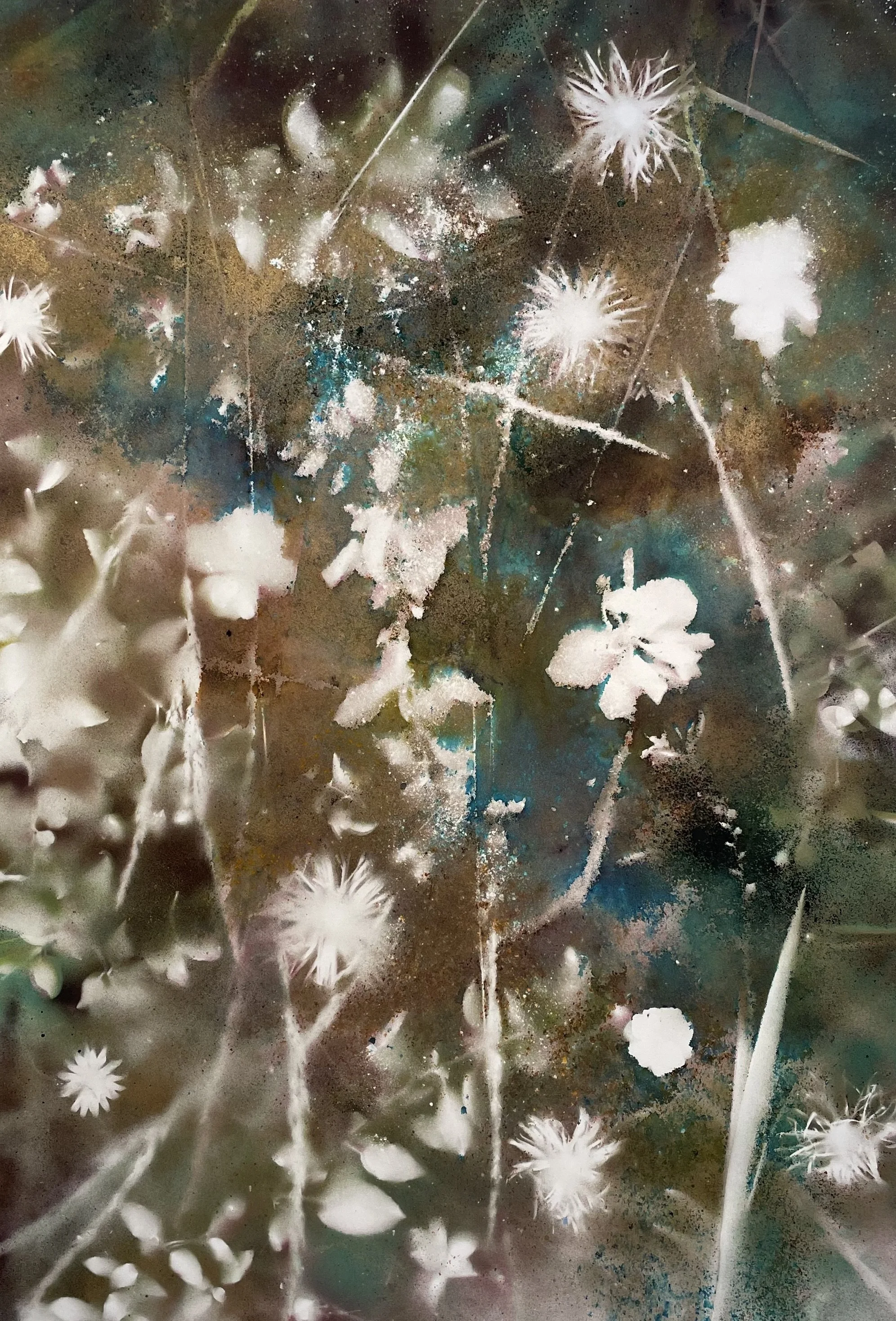 all the blossoms come sailing down