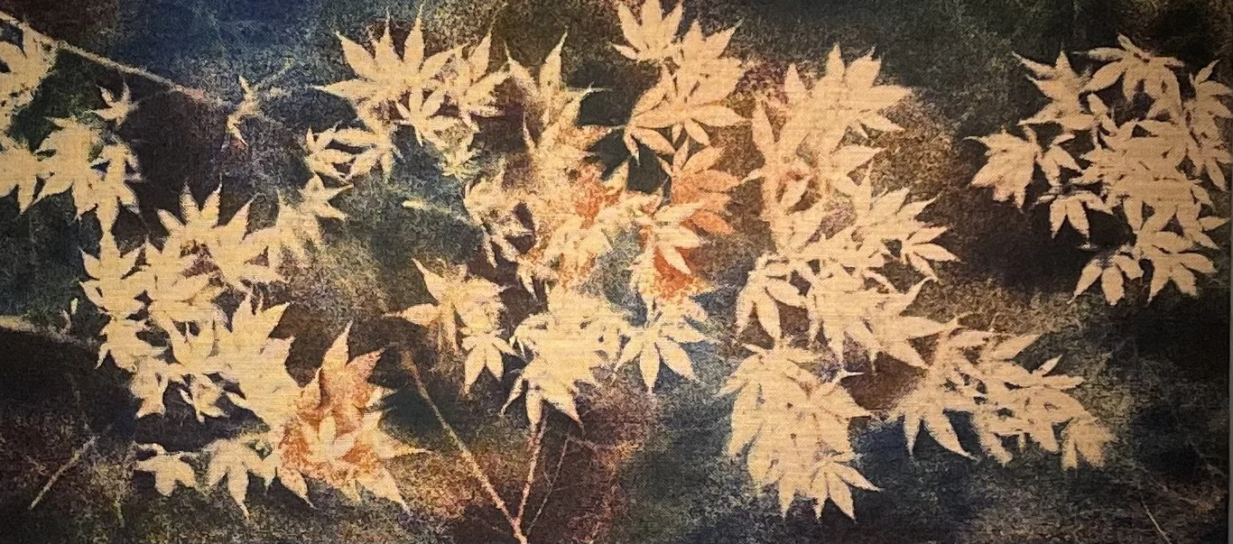  2022 dyes on burlap 22x48 in   55x122 cm 