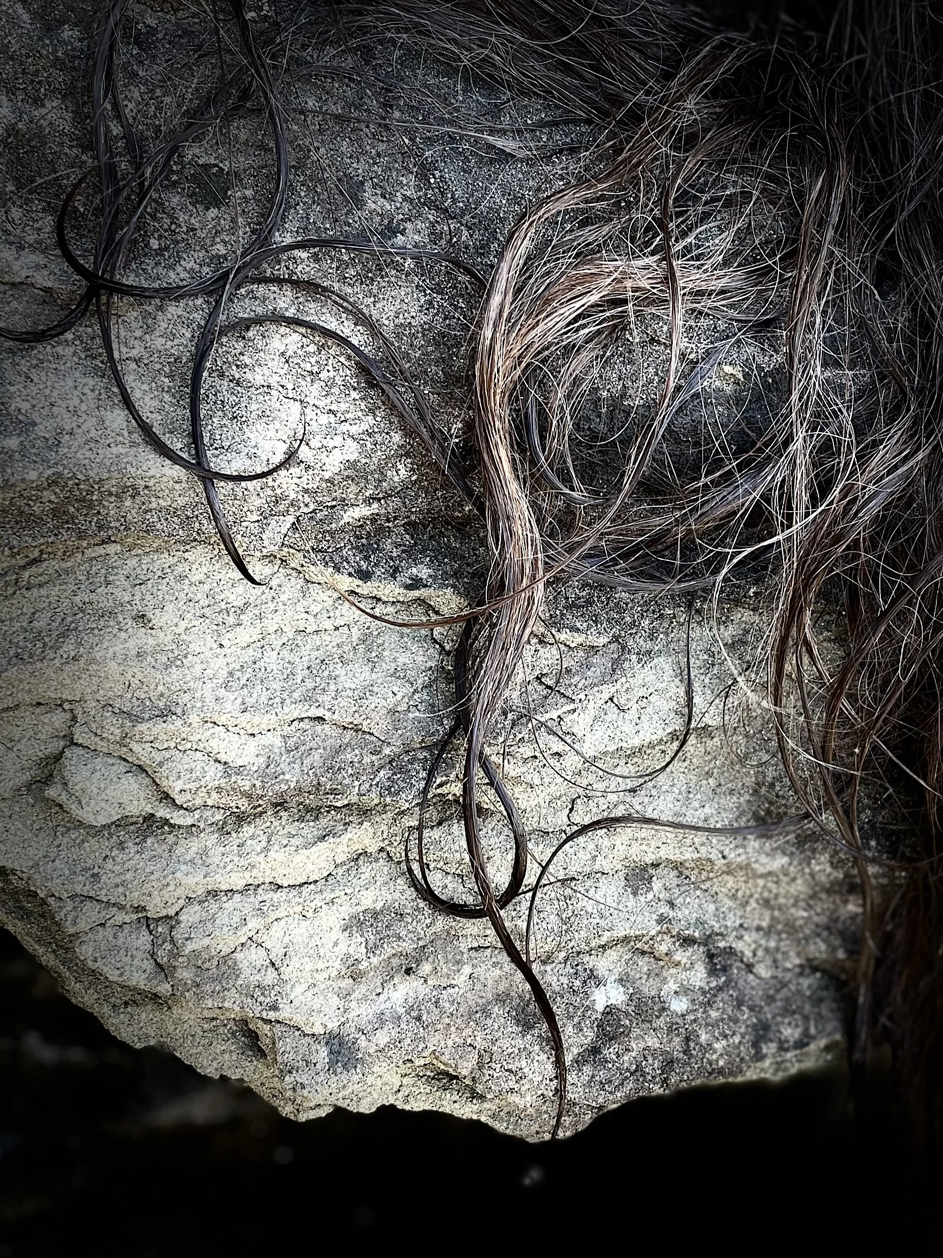  Inheritance     2023 photograph 10x8in &nbsp;25×20cm 