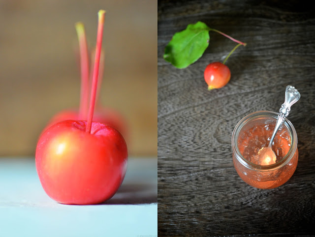 crabapple+jelly1.jpg