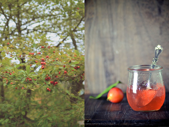 crabapple+jelly+pan1_1.jpg