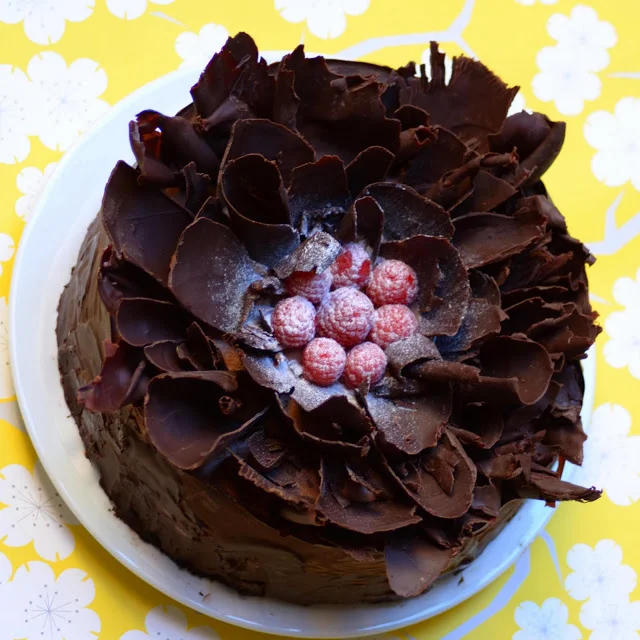 chocolate_raspberry_cake_6.jpg