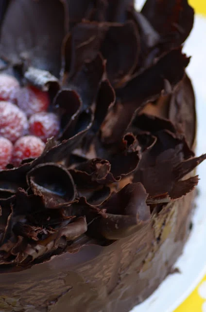 chocolate_raspberry_cake_2.jpg