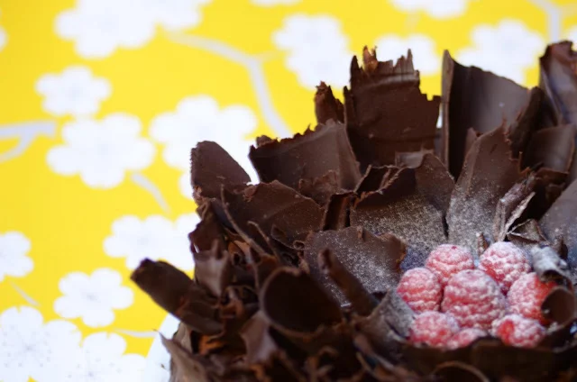 chocolate_raspberry_cake_7.jpg