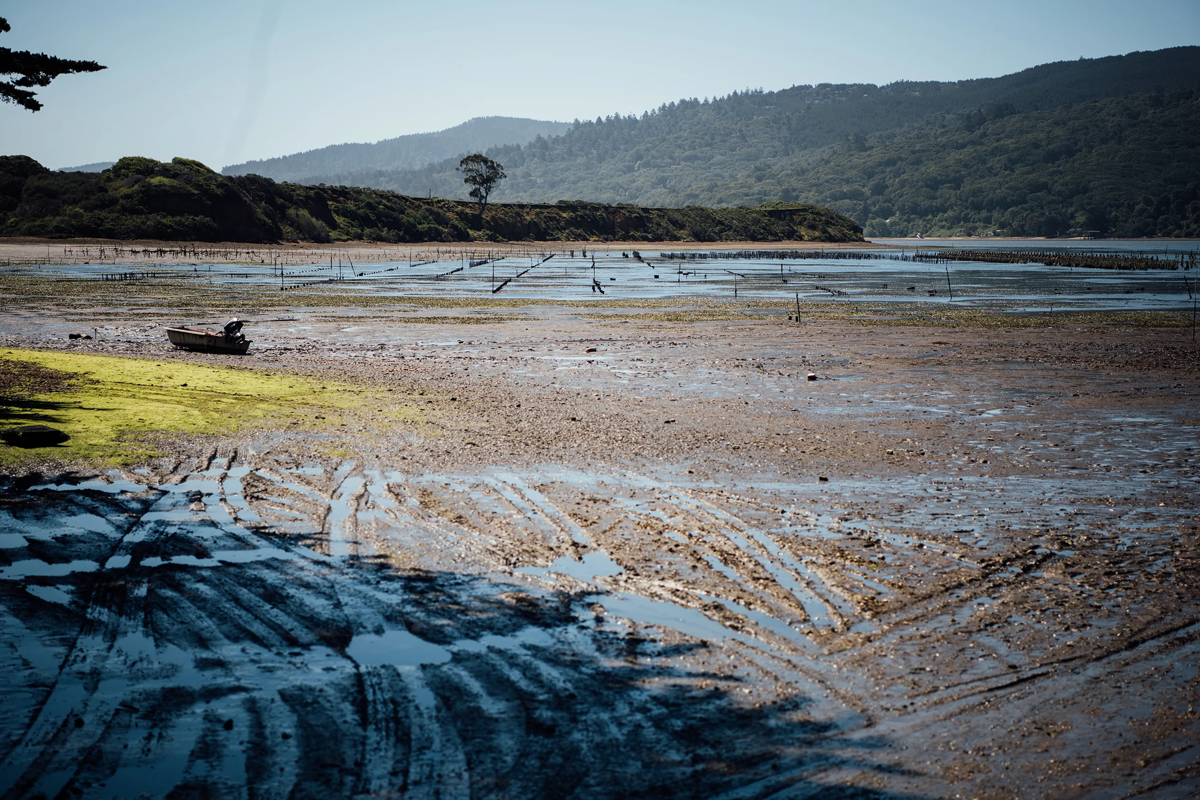 8_tomales_bay.jpg