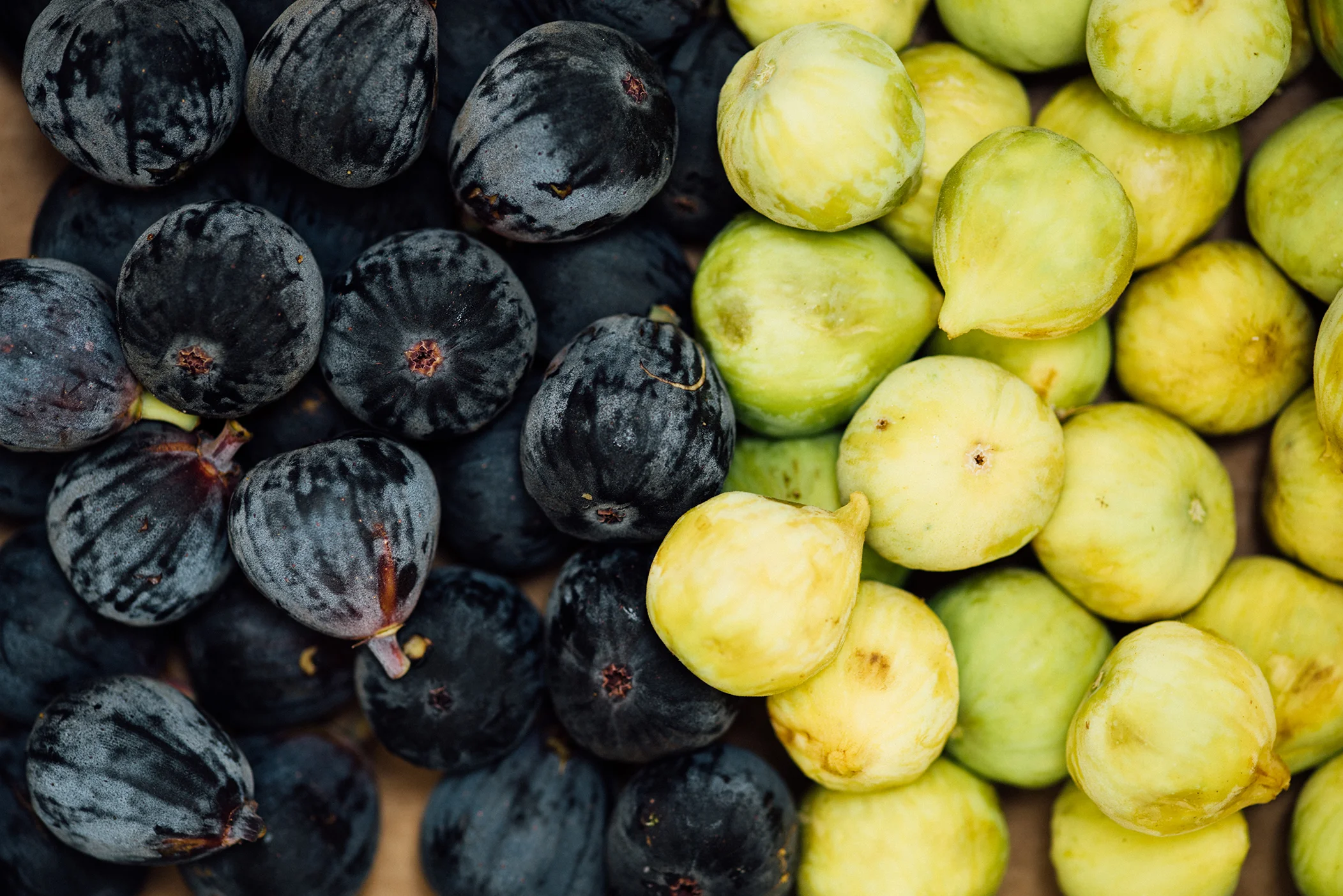 fig and pom jam-26451.jpg