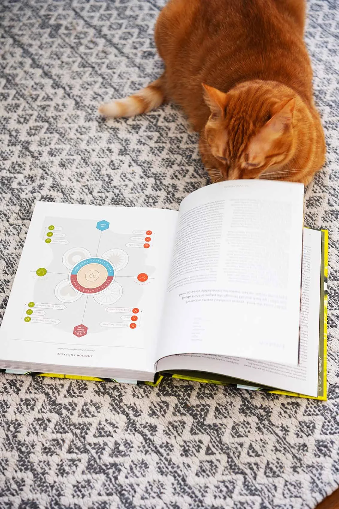 The Flavor Equation: An Emotional Journey 