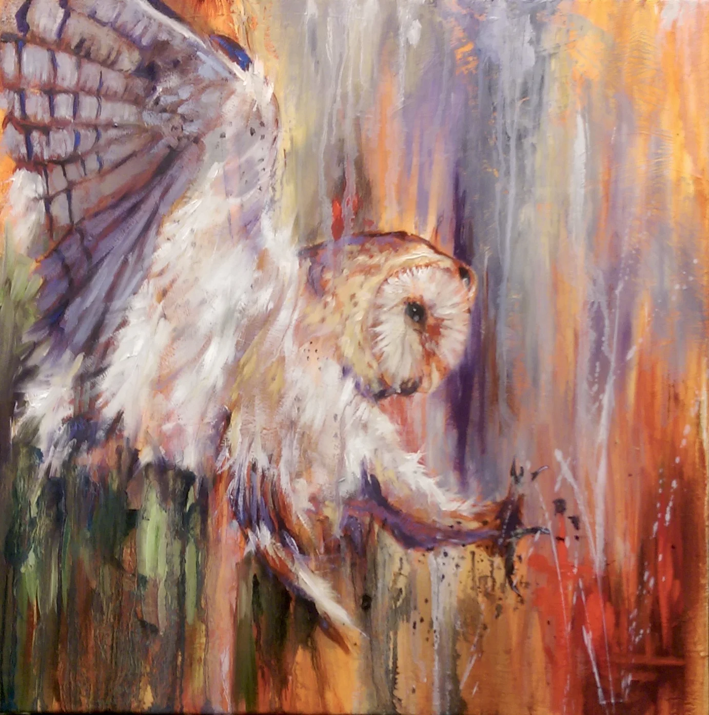 Owlprowl
