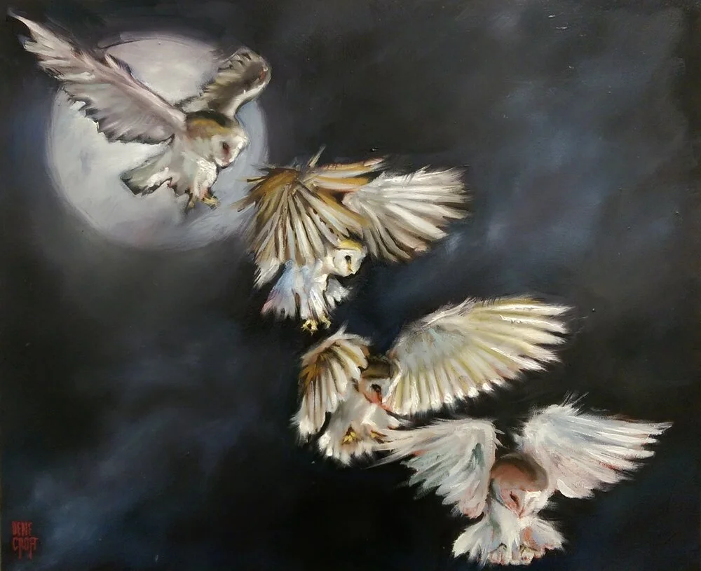 Decending+owl+2.jpg