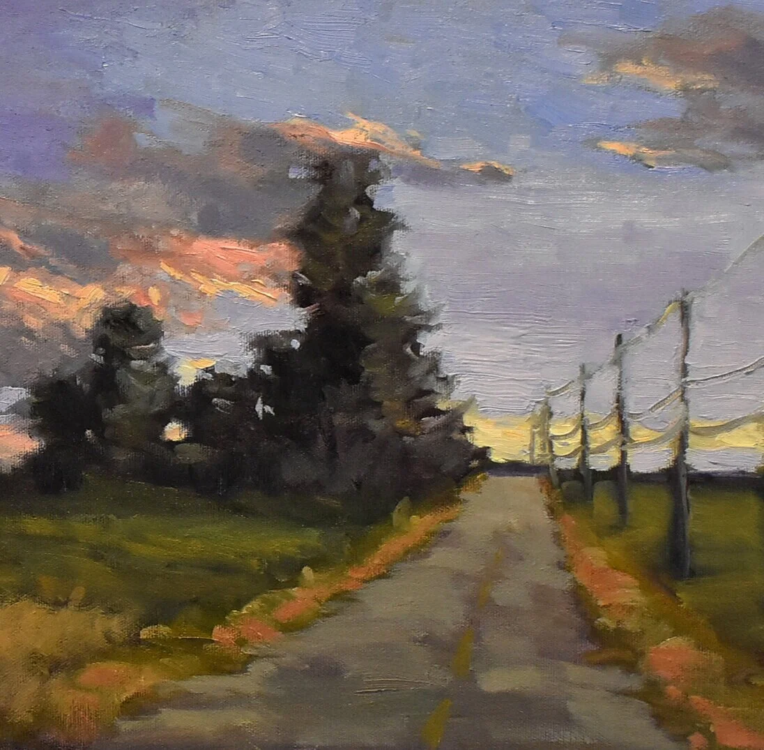 Skies and clouds with ANN WILLSIE