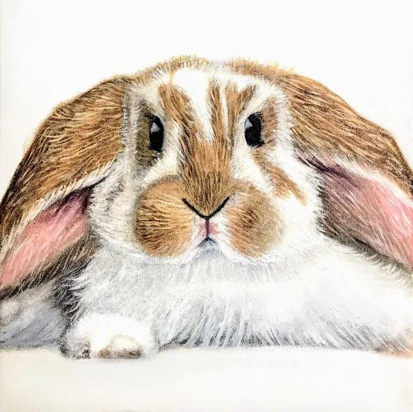 Junior atelier . . . a very special studio program for 8-12 year olds