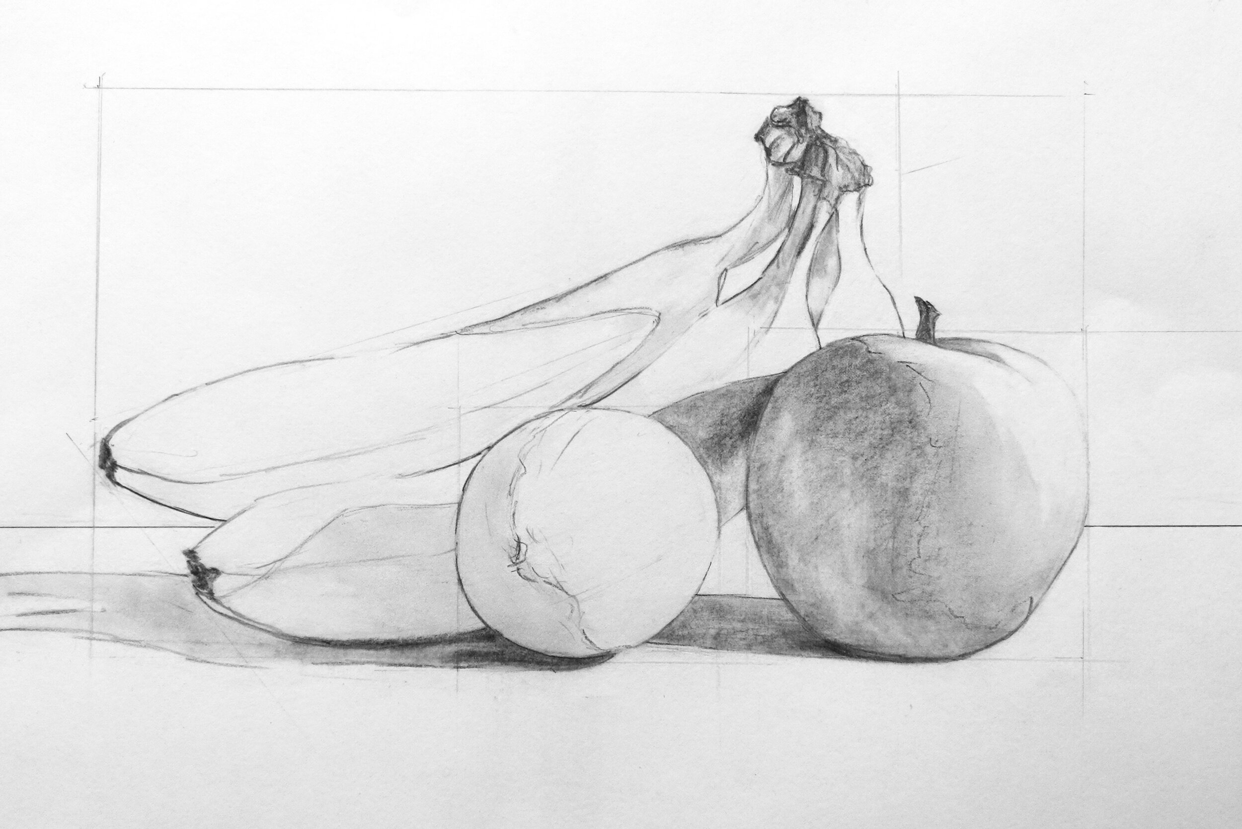 Introduction to Drawing  In Studio class  RAC