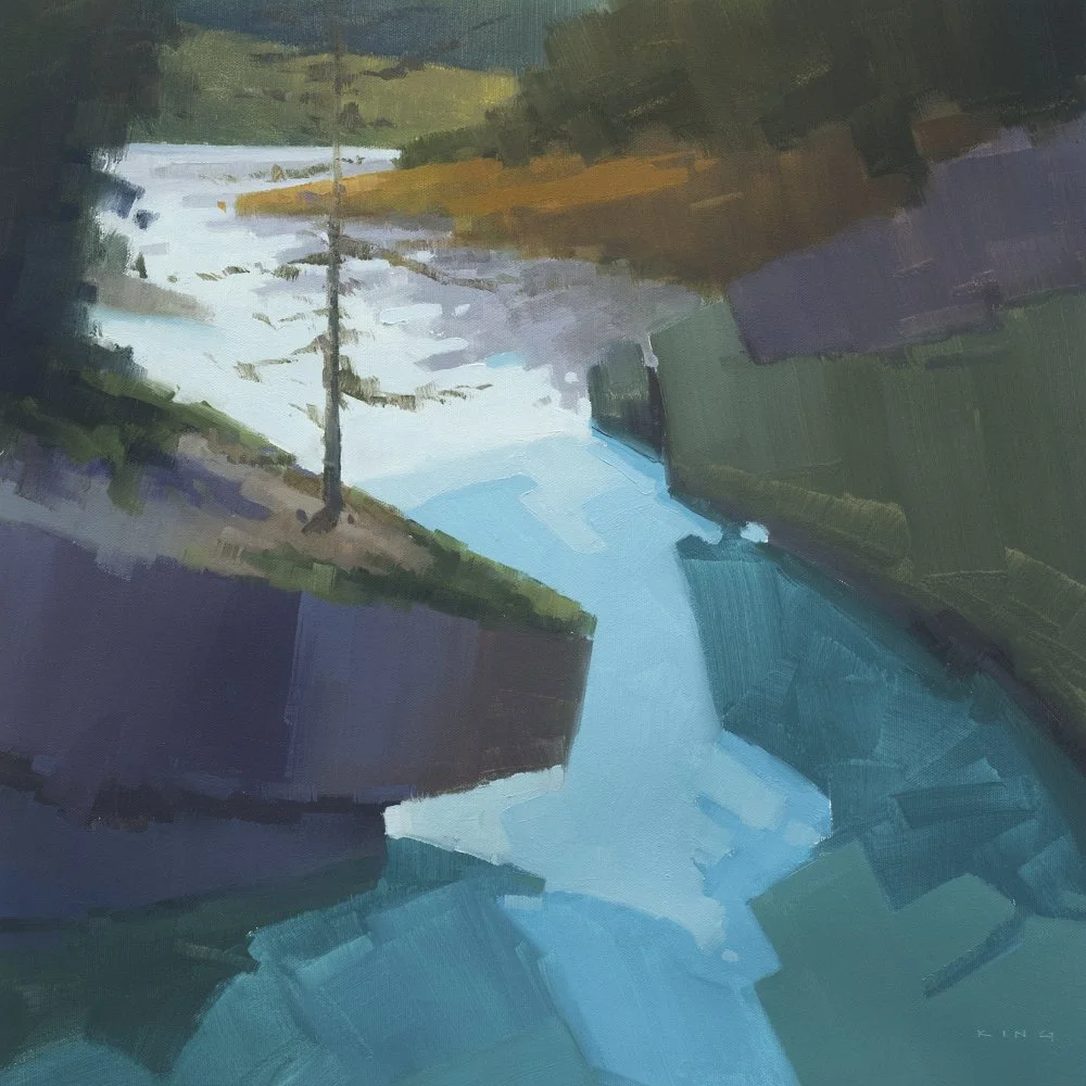 Michael King  . . . "The minimalist contemporary landscape"