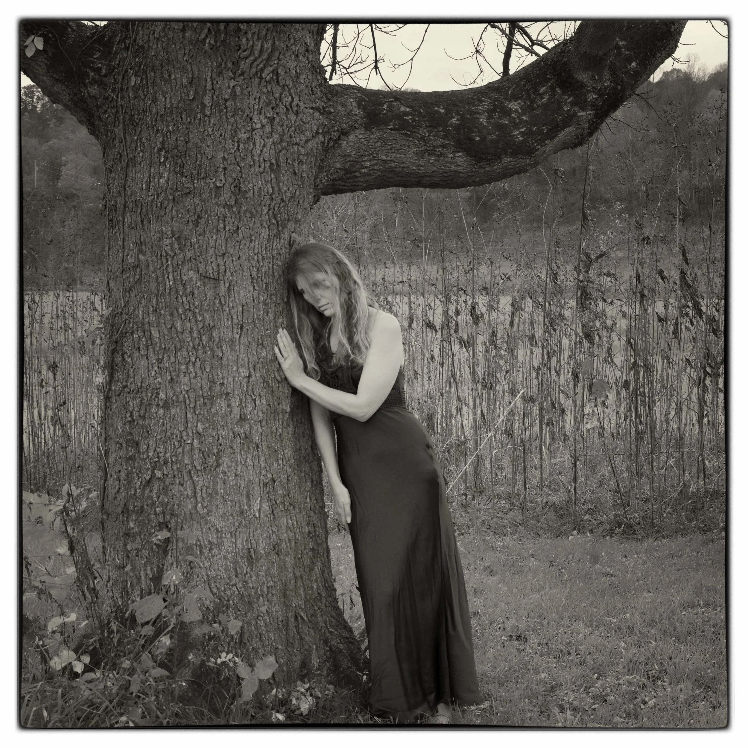 The Leaning Tree