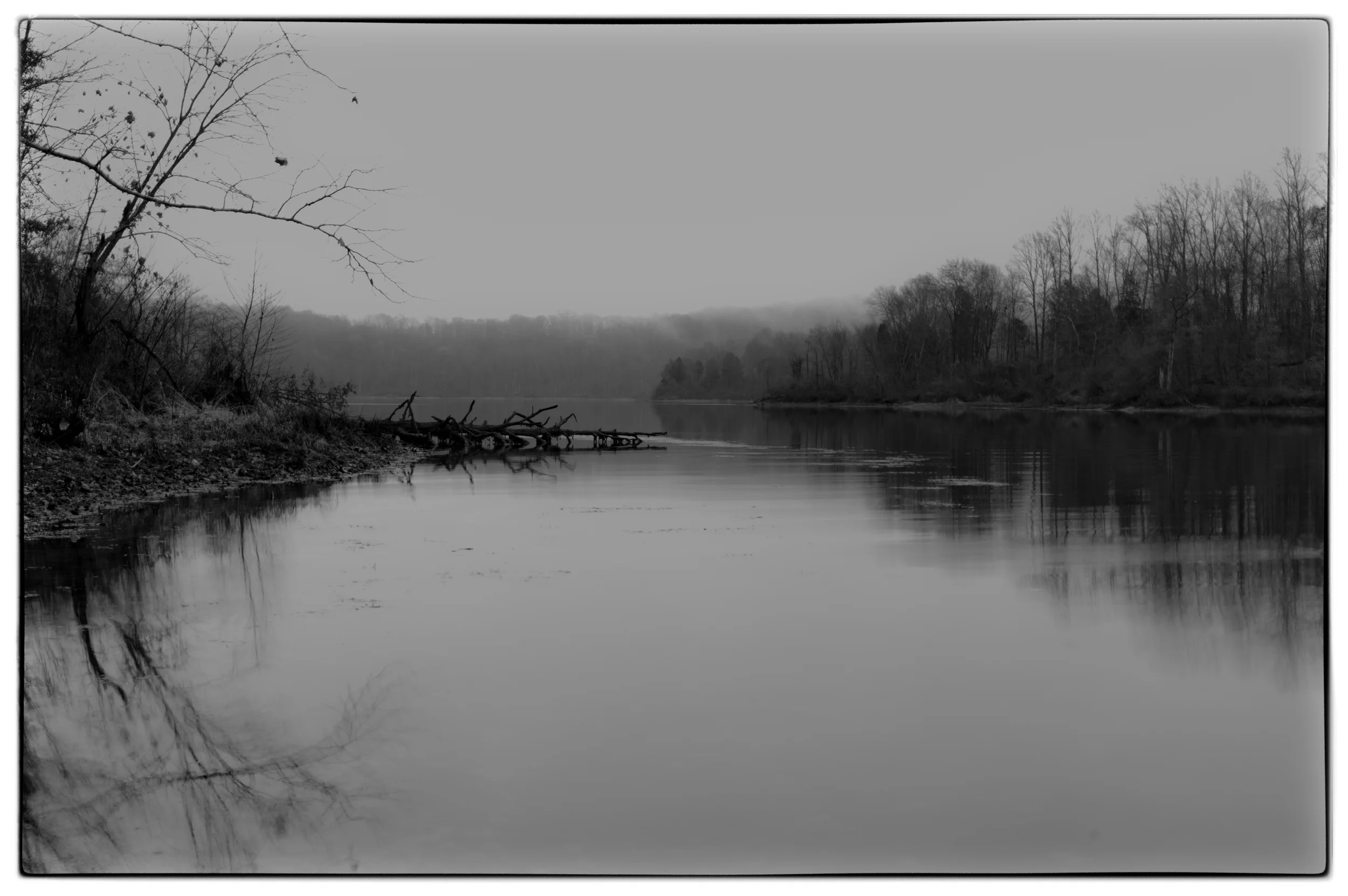 Cedar Lake: Morning Mist