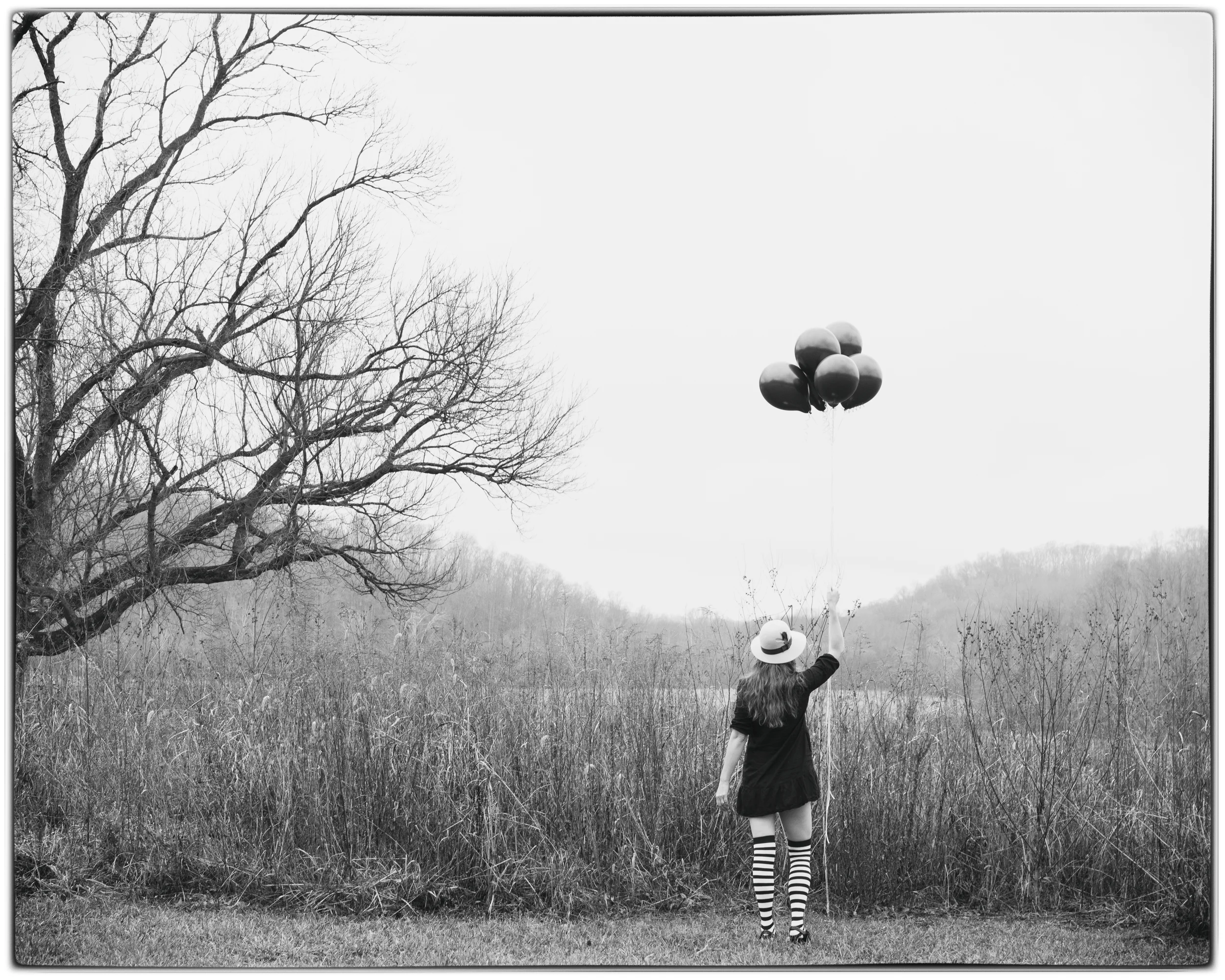 When Thoughts Take Flight