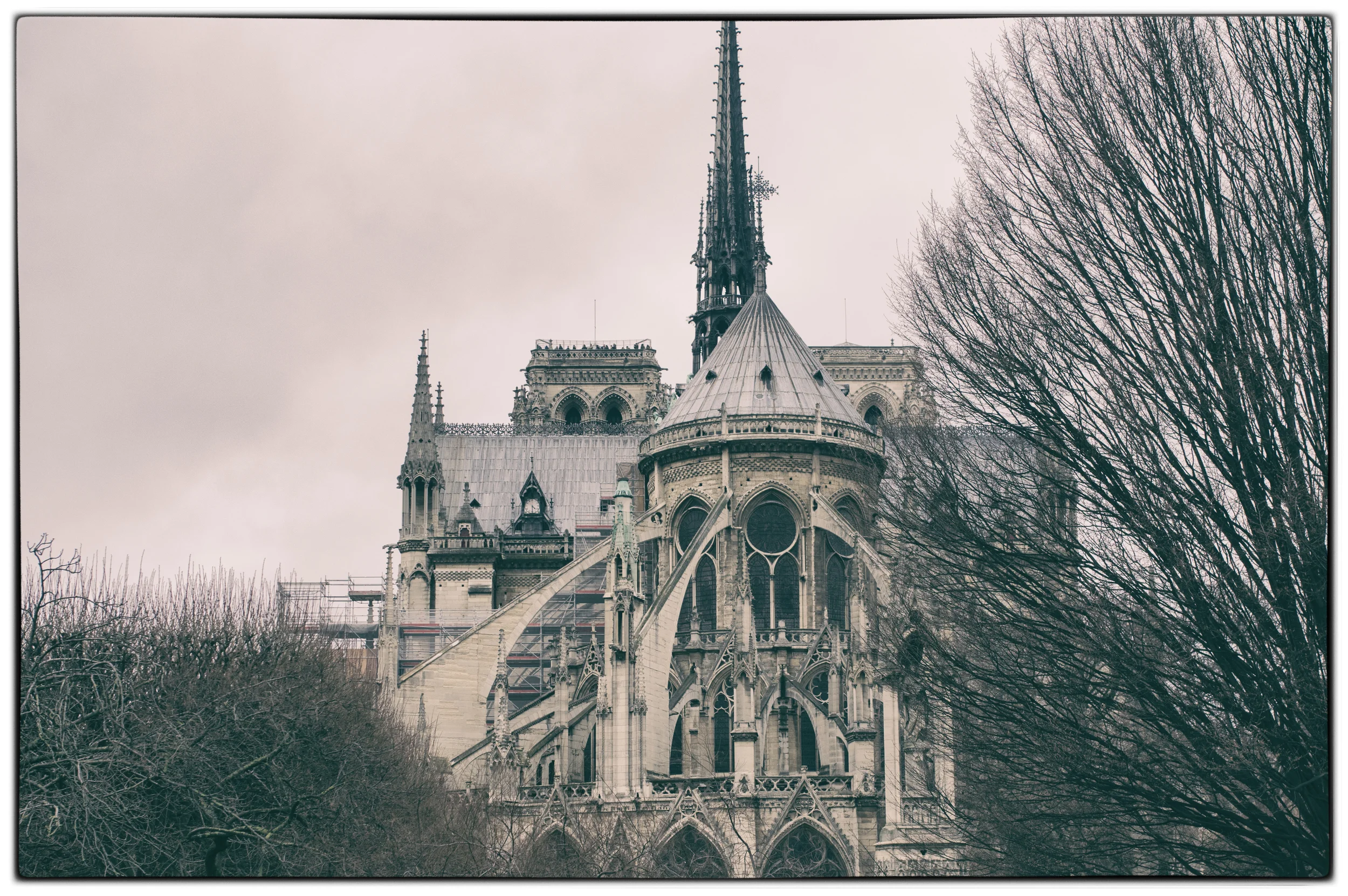 Notre Dame (rear view)