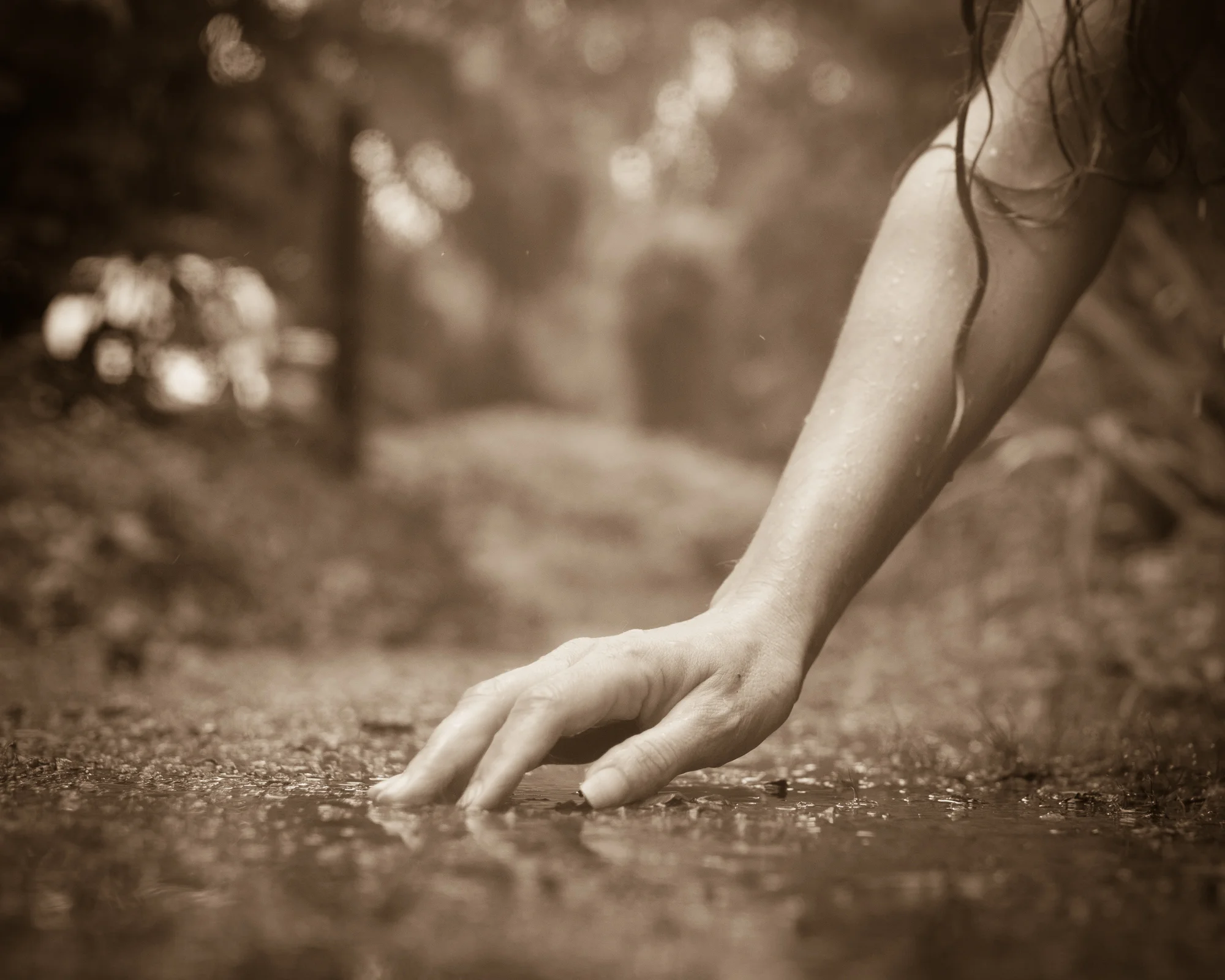 My wild nature
