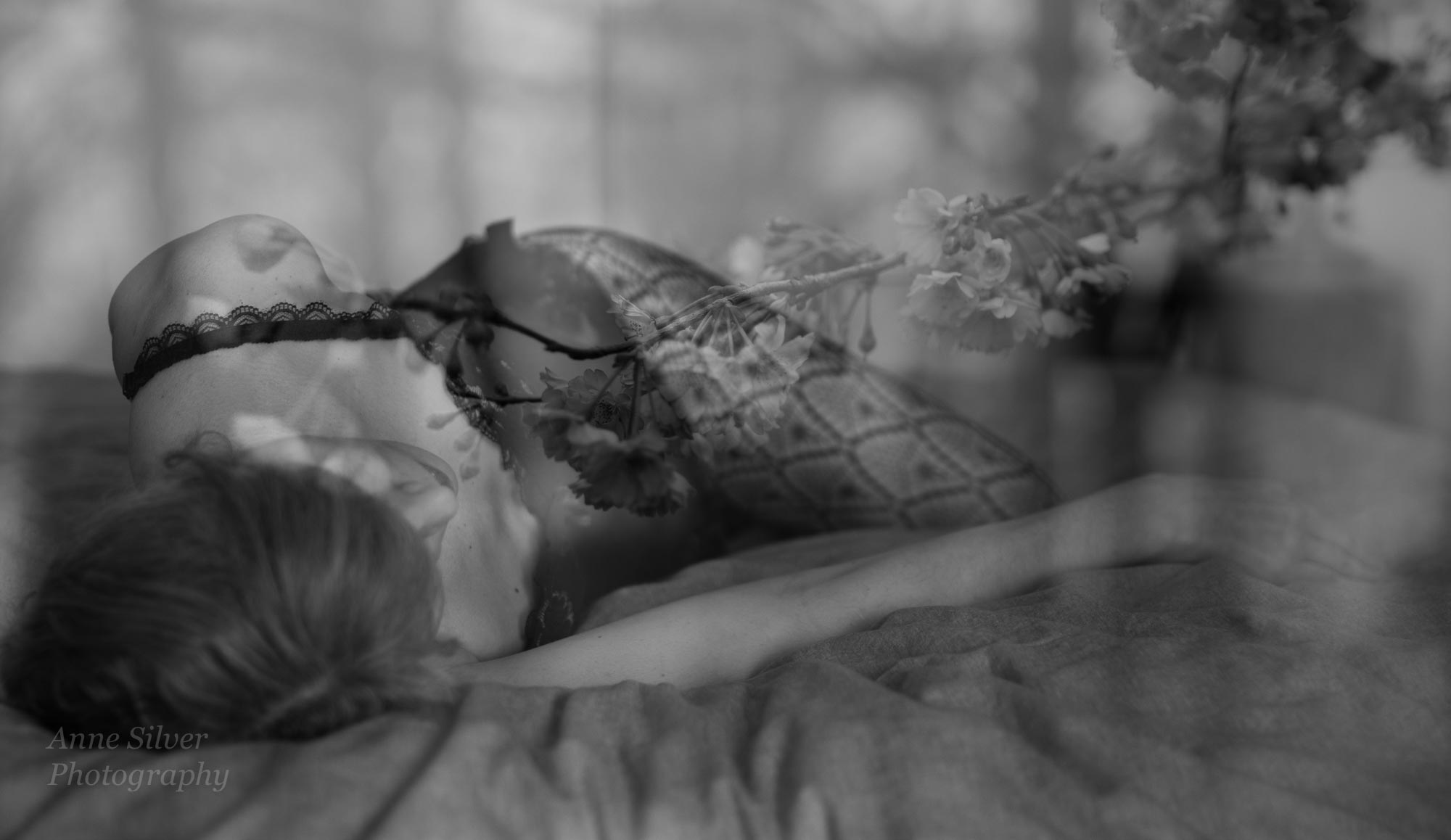 Morning in the garden of my dreams