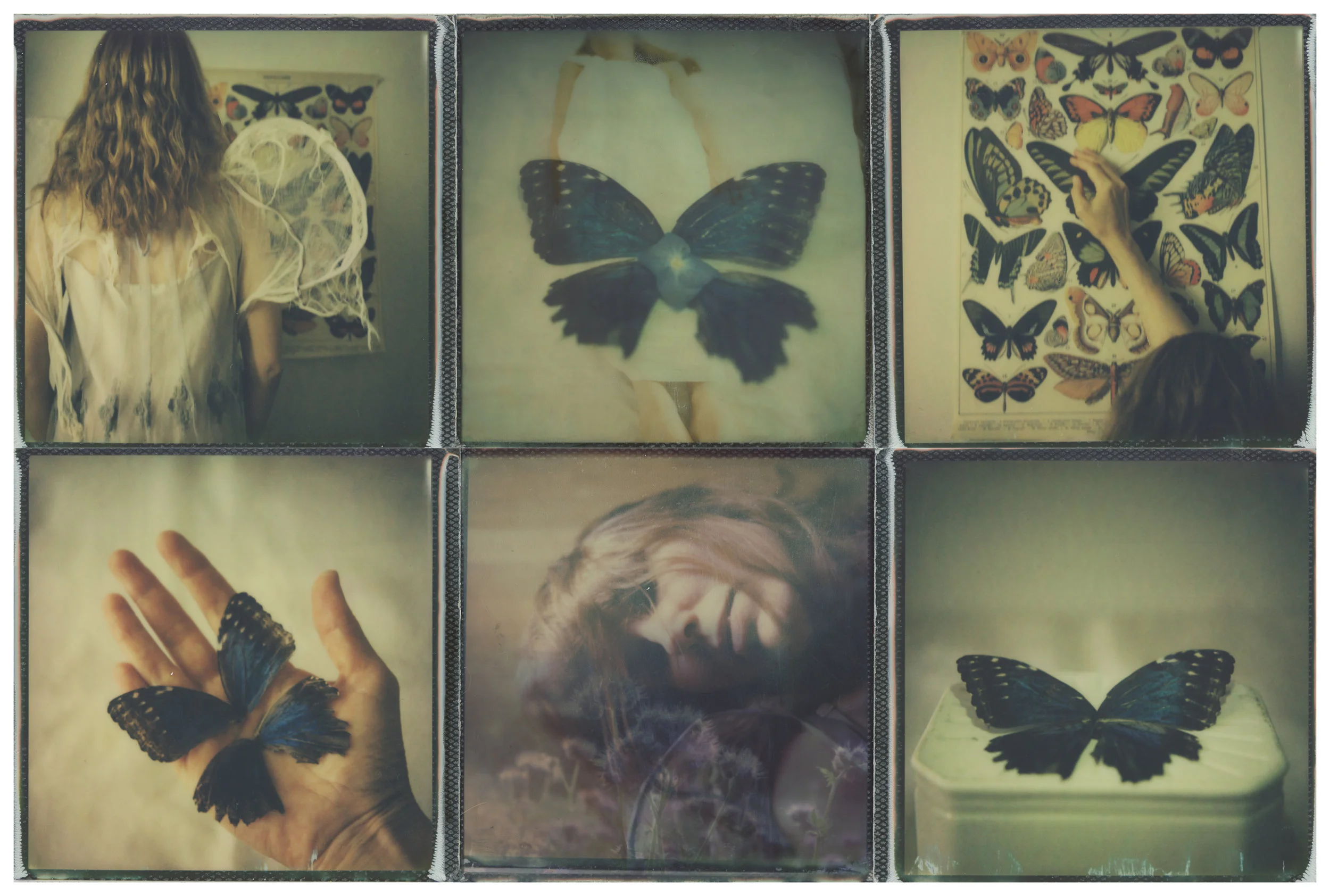 Of Angels and Insects: Memories of Flight