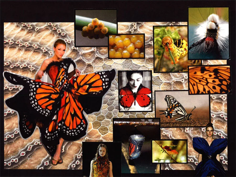  The Life Cycle of the Butterfly Collection looks at all the stages of the butterfly's life: egg, cocoon, caterpillar, and butterfly. &nbsp;Texture and color was the focus of the collection. &nbsp; 