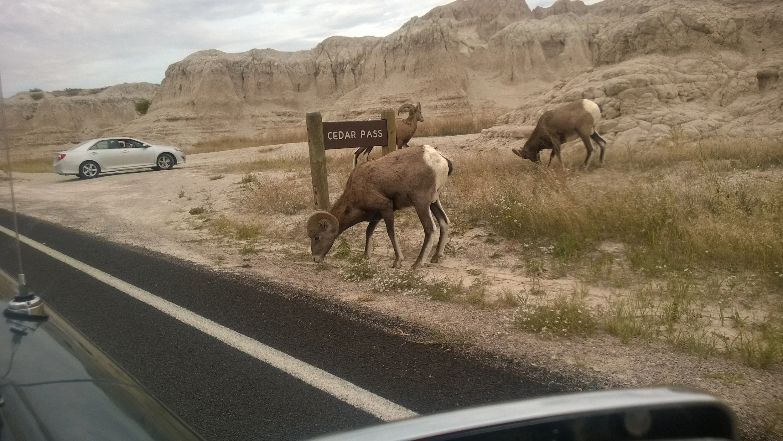 9/22/14 - Badlands and Good Creatures