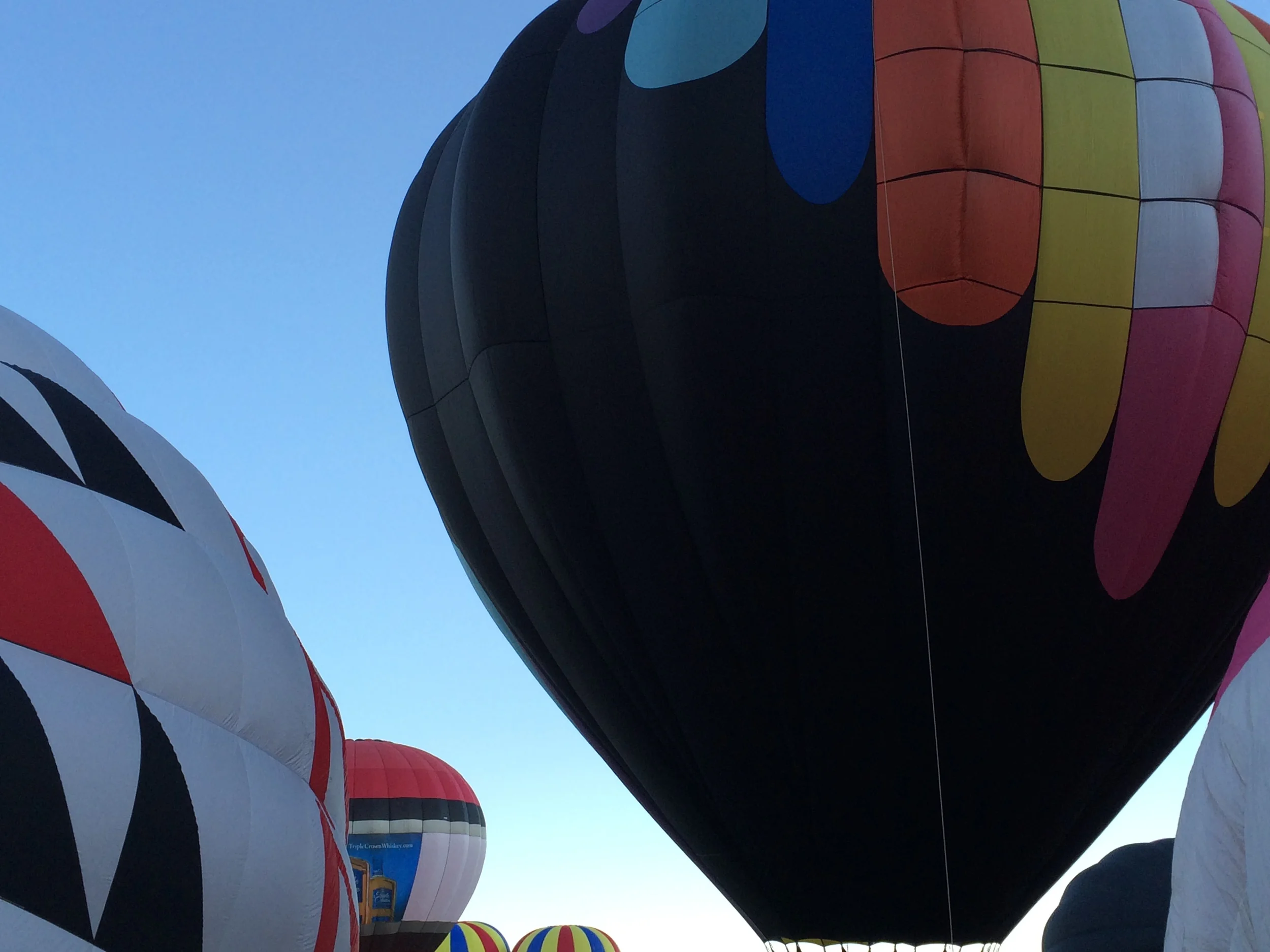 10/4/14 - Albuquerque Balloon Fiesta
