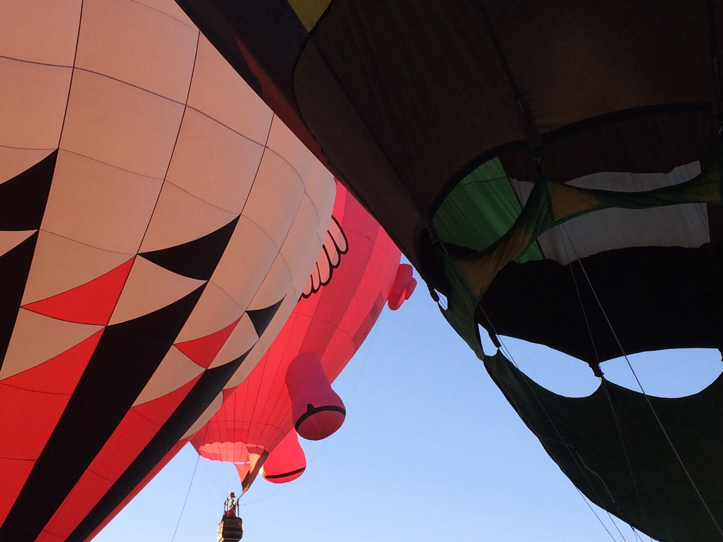 10/4/14 - Albuquerque Balloon Fiesta