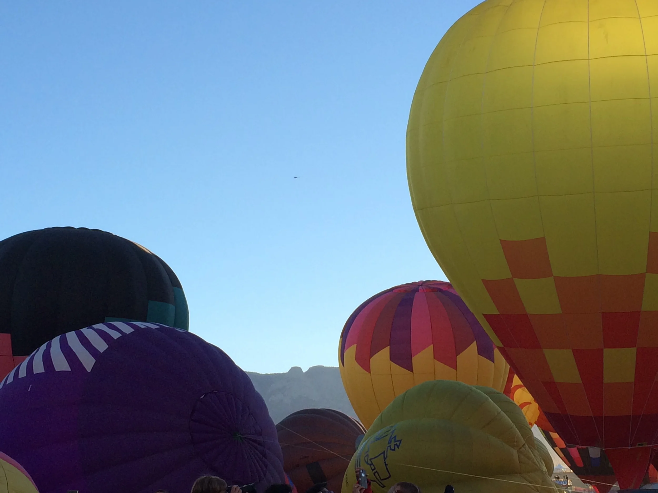 10/4/14 - Albuquerque Balloon Fiesta