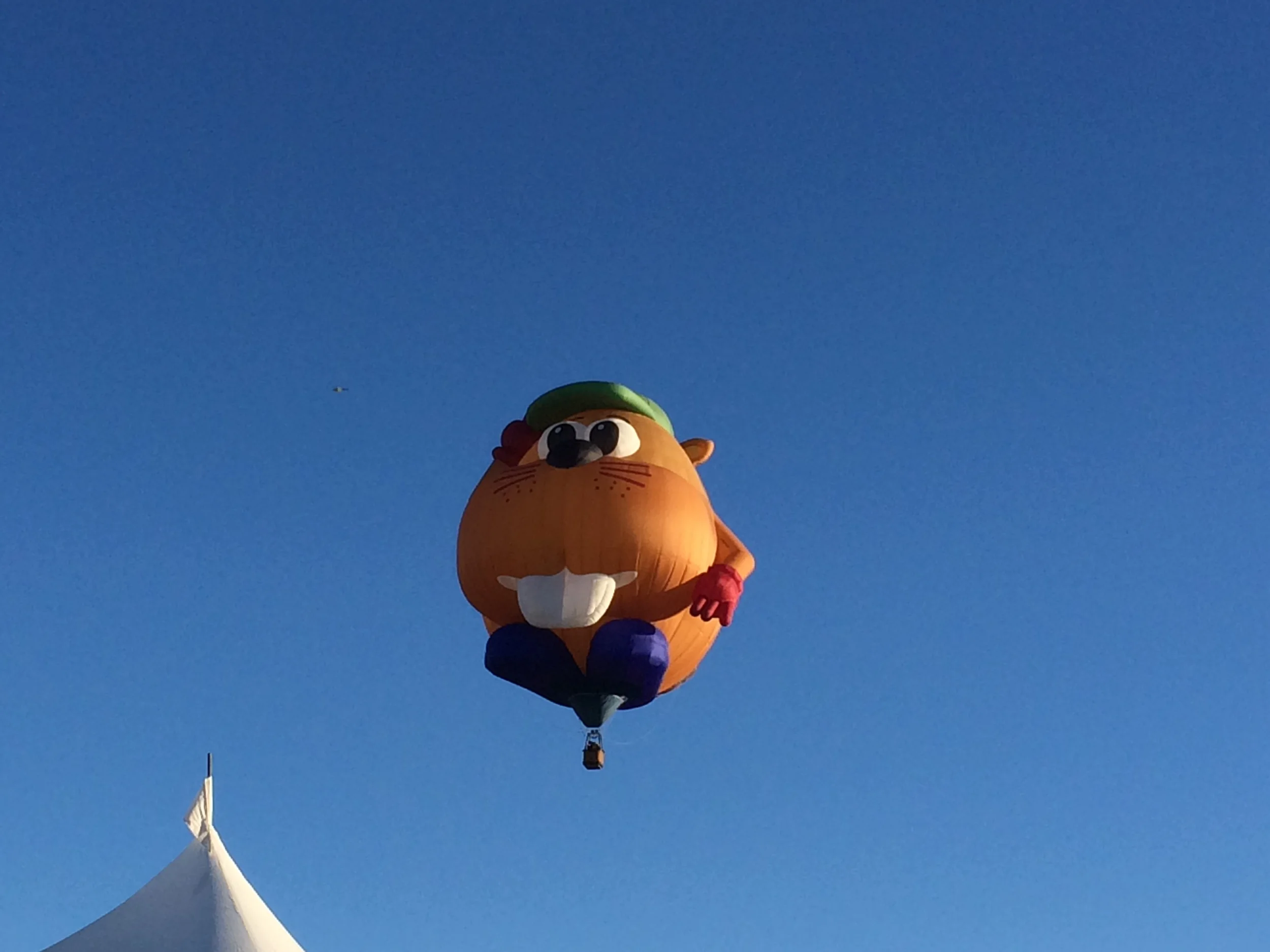 10/4/14 - Albuquerque Balloon Fiesta