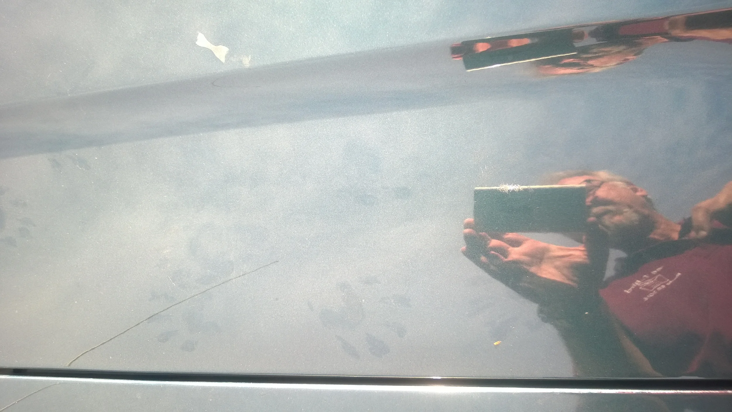 Raccoon foot prints in the dust on the car.