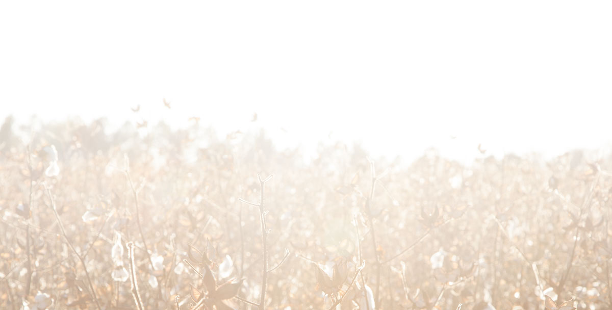 sr-header-bg.jpg