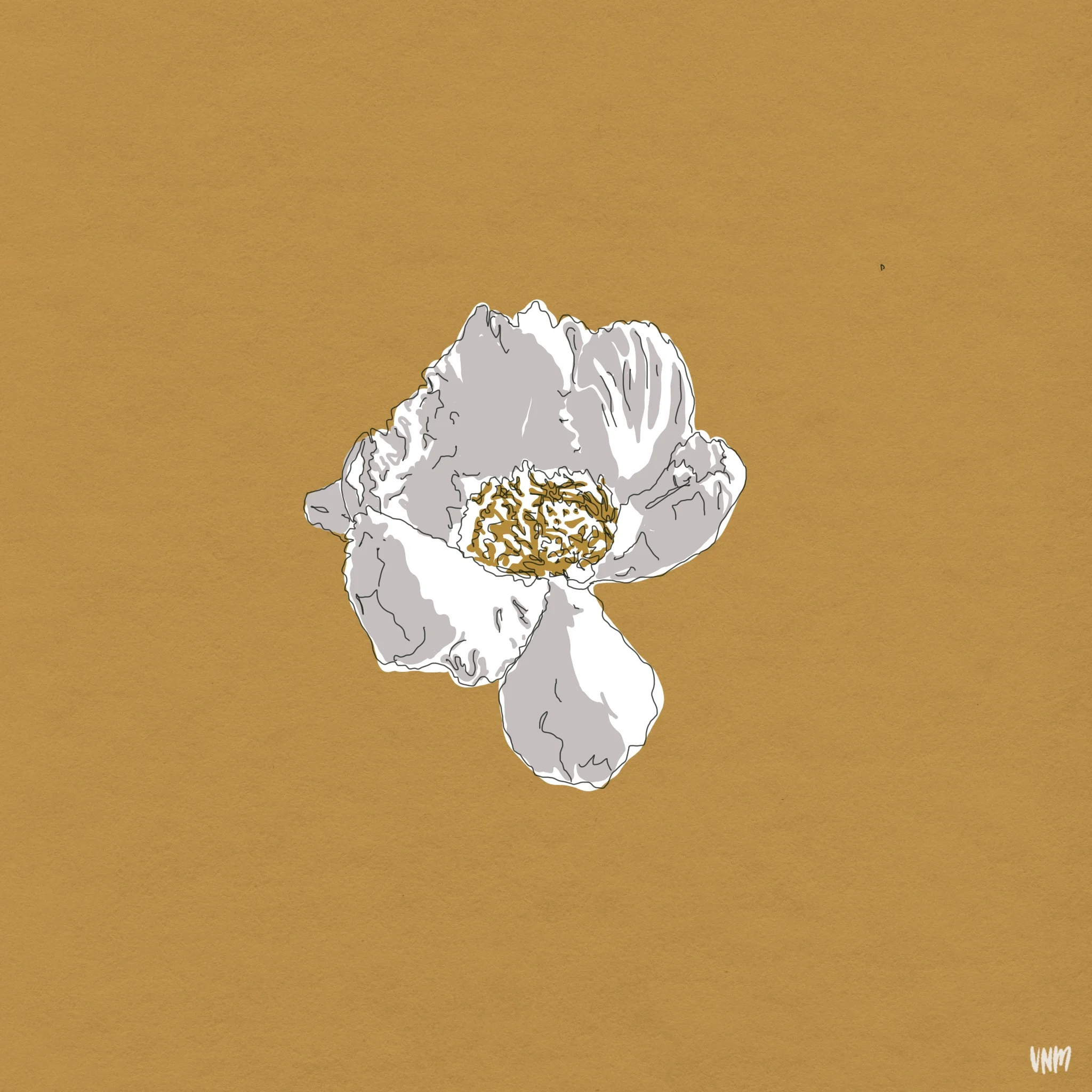 flower.jpg