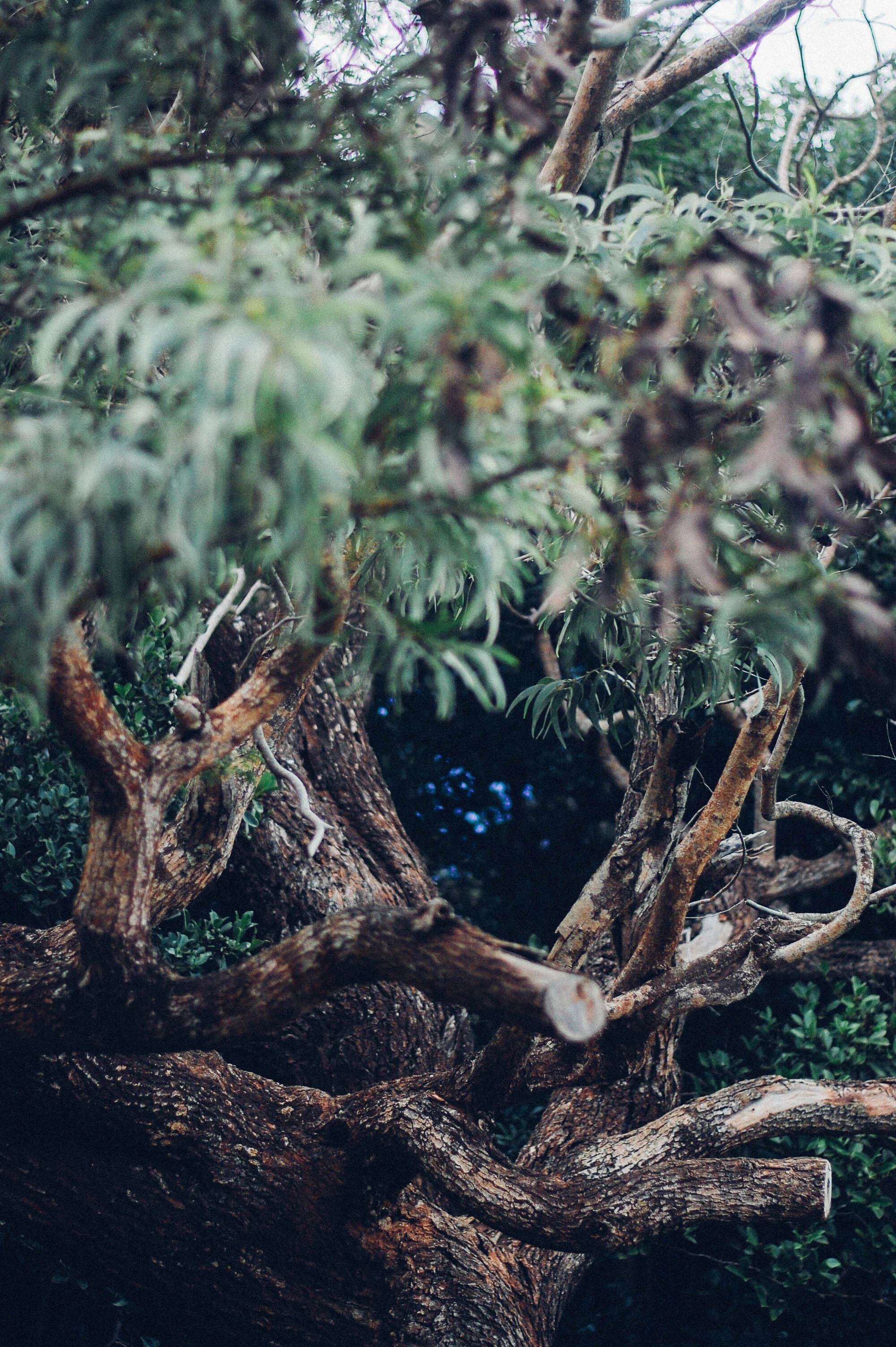 kauai.hawaii.travels.03