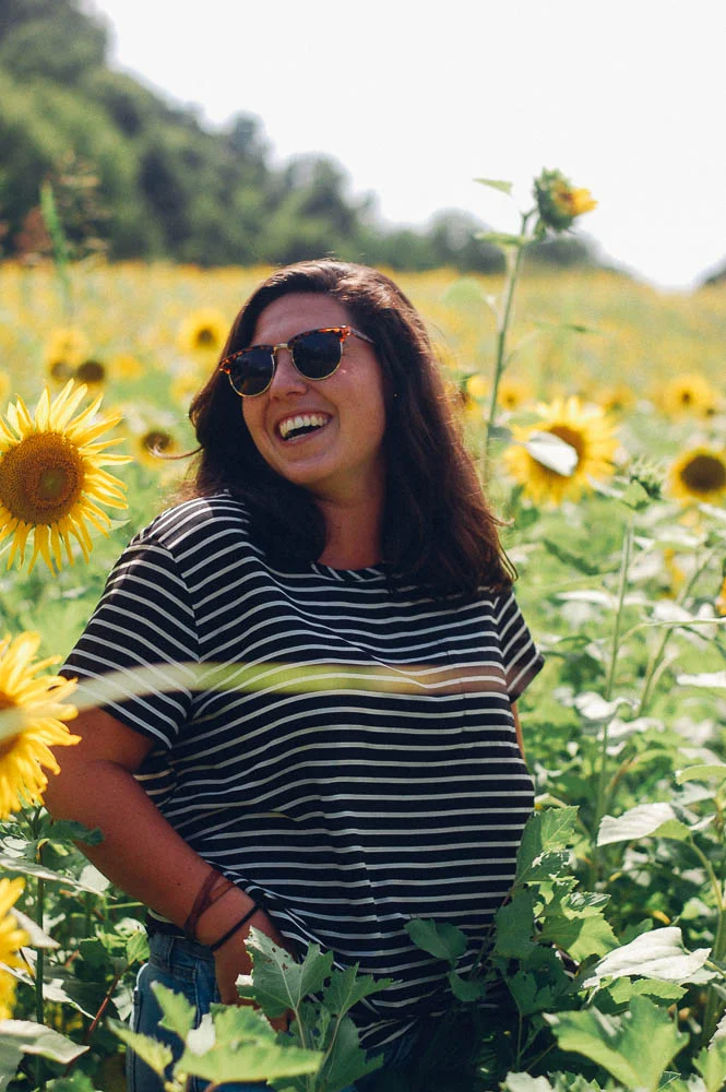 knoxville.sunflowers.01