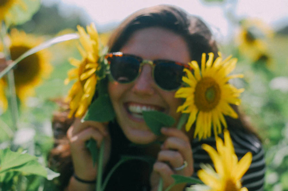 knoxville.sunflowers.02