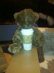 coffee bear.jpg