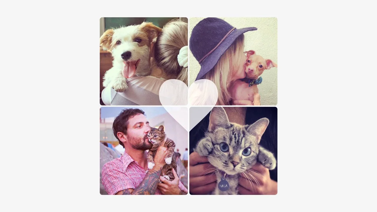 Best Friends "Save Them All"