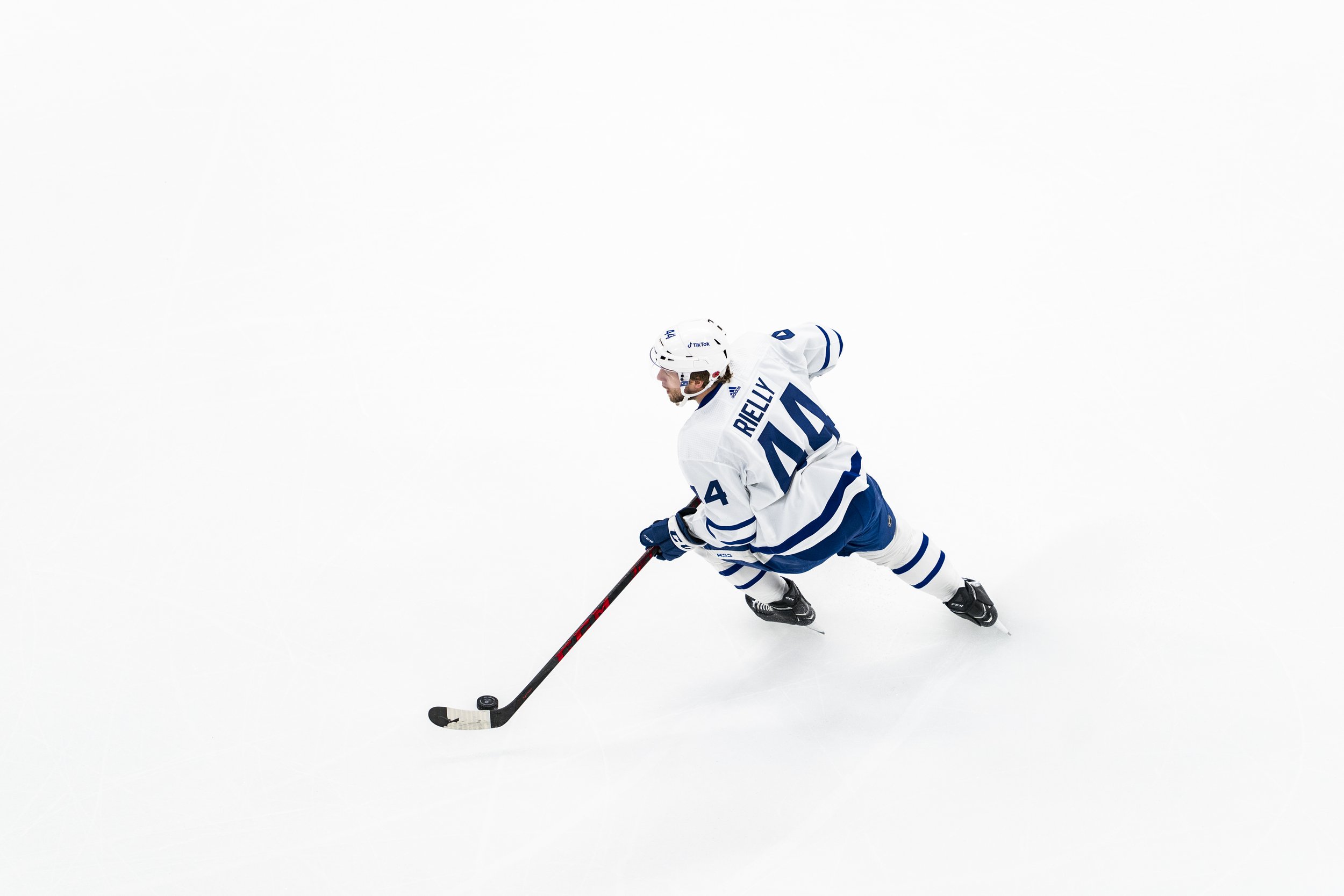 ALL_LEAFS_08.JPG