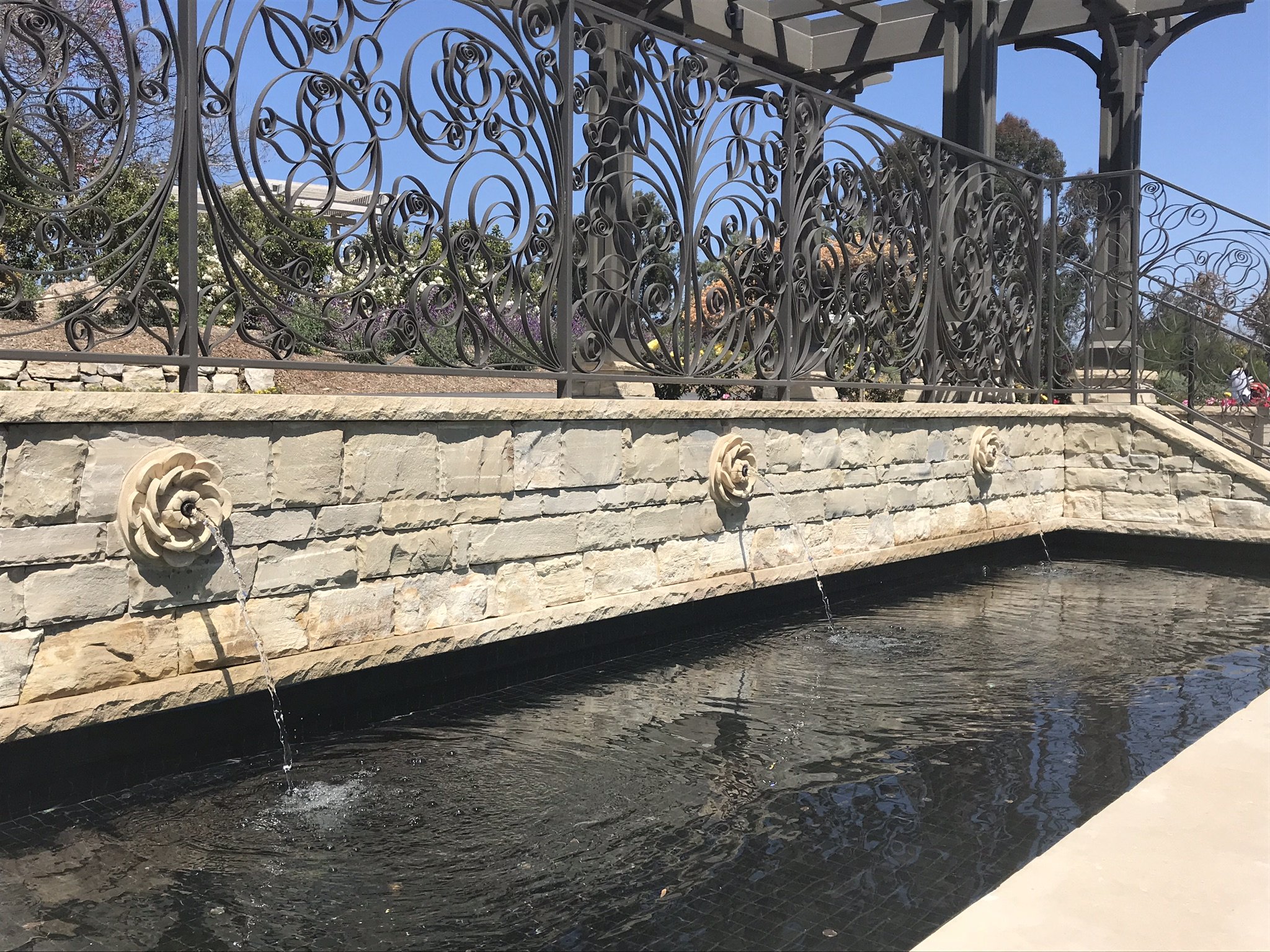 IMG_4596.JPEG