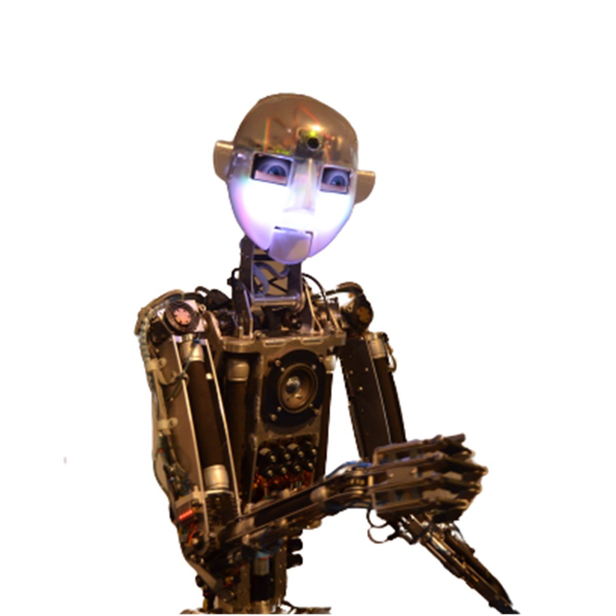 Max Q RoboThespian